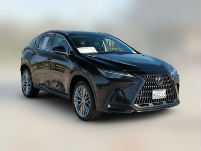 2024 Lexus NX 350h Luxury