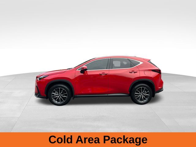 2024 Lexus NX 350h Luxury