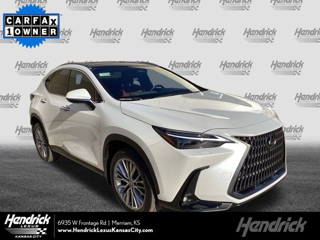 2024 Lexus NX 350h Luxury