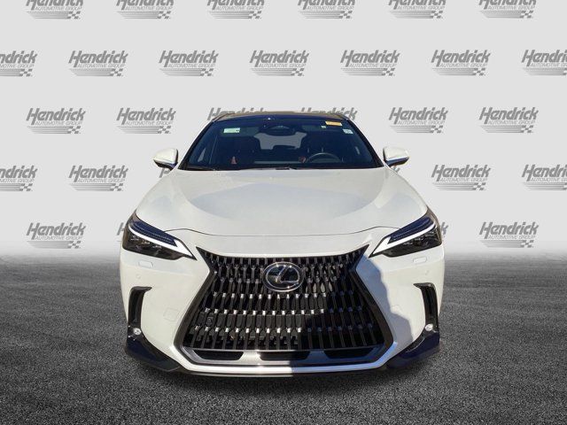 2024 Lexus NX 350h Luxury