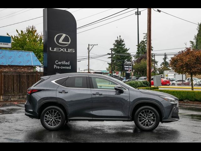 2024 Lexus NX 350h Luxury