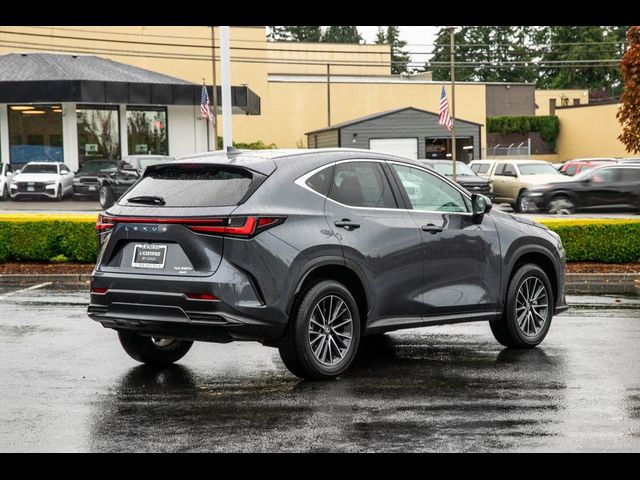 2024 Lexus NX 350h Luxury