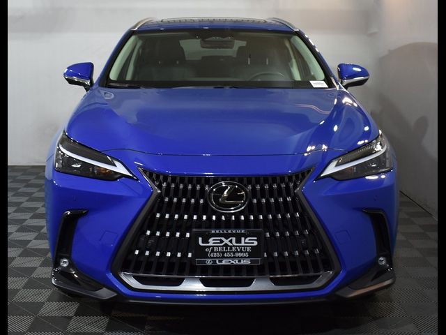 2024 Lexus NX 350h Luxury