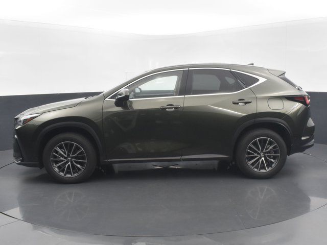 2024 Lexus NX 350h Luxury