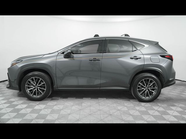 2024 Lexus NX 350h Luxury