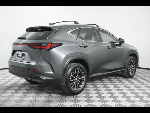 2024 Lexus NX 350h Luxury