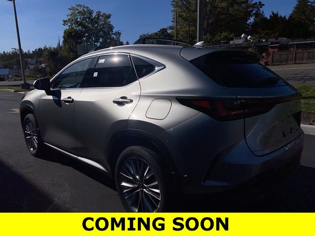 2024 Lexus NX 350h Luxury