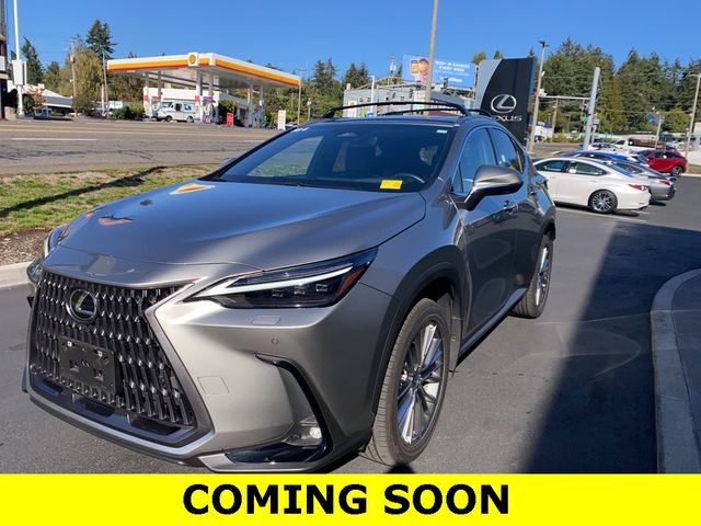 2024 Lexus NX 350h Luxury