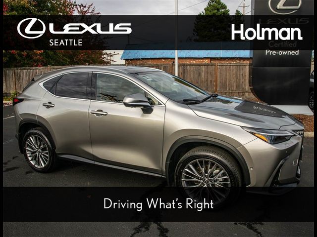 2024 Lexus NX 350h Luxury