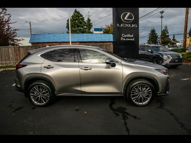 2024 Lexus NX 350h Luxury