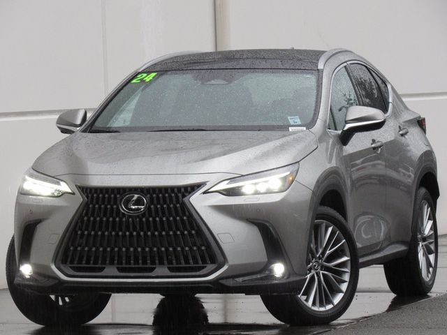 2024 Lexus NX 350h Luxury