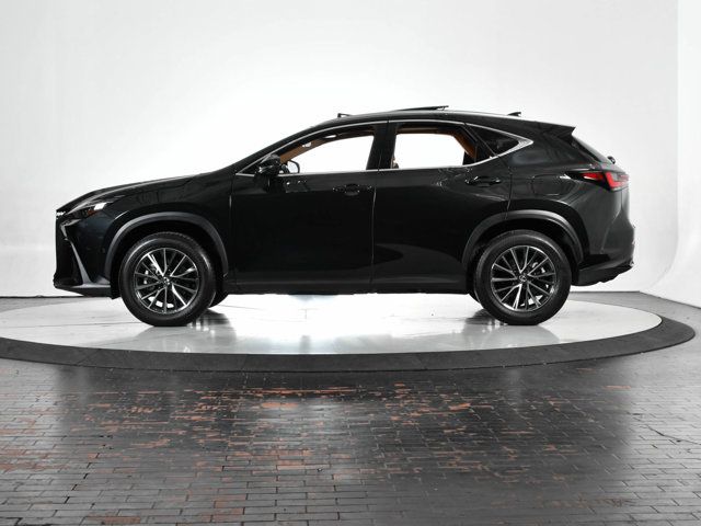 2024 Lexus NX 350h Luxury