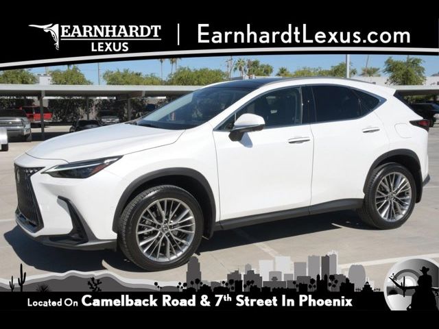 2024 Lexus NX 350h Luxury