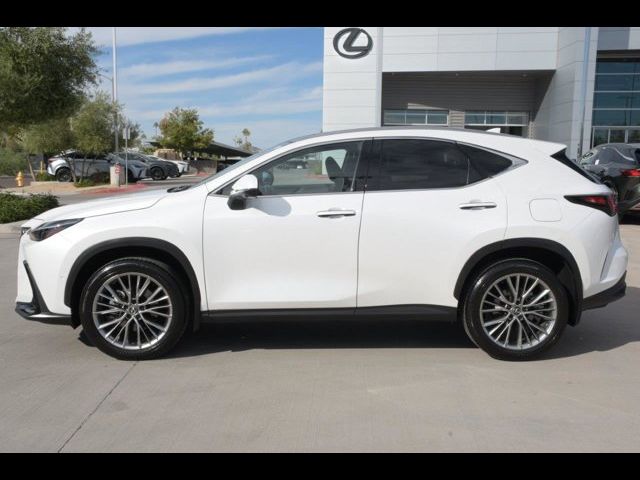 2024 Lexus NX 350h Luxury