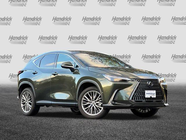 2024 Lexus NX 350h Luxury