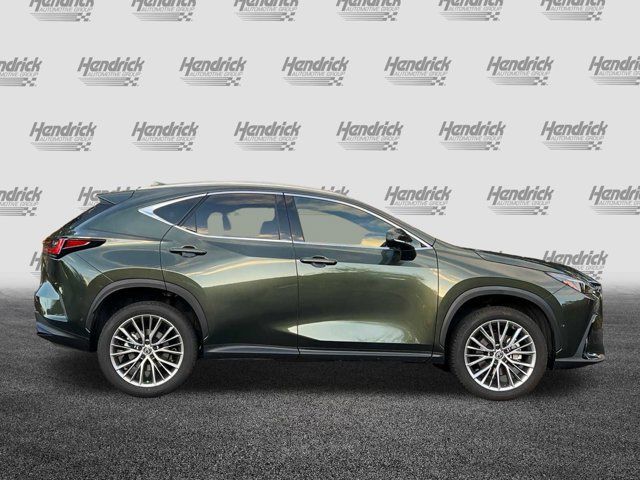 2024 Lexus NX 350h Luxury