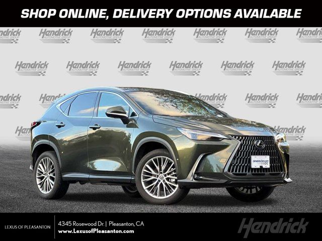 2024 Lexus NX 350h Luxury