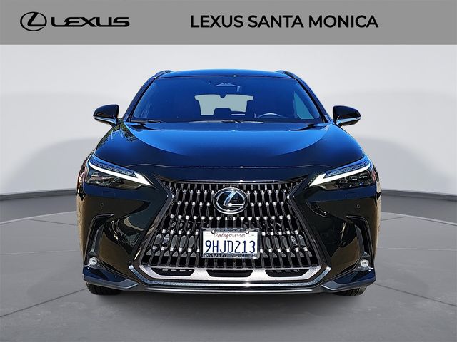 2024 Lexus NX 350h Luxury