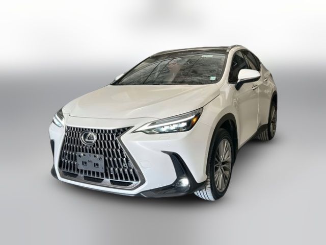 2024 Lexus NX 350h Luxury