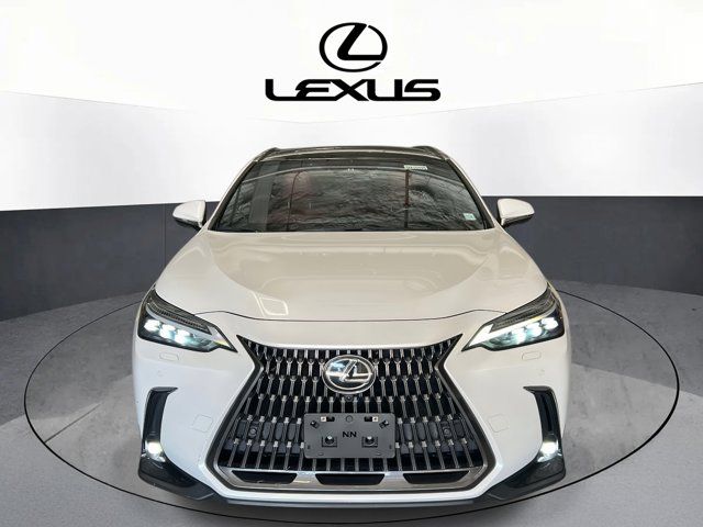 2024 Lexus NX 350h Luxury
