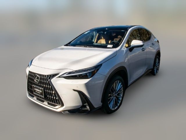 2024 Lexus NX 350h Luxury