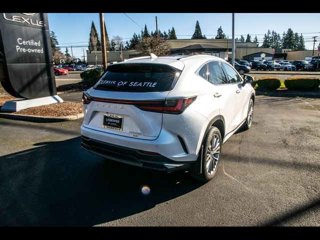 2024 Lexus NX 350h Luxury