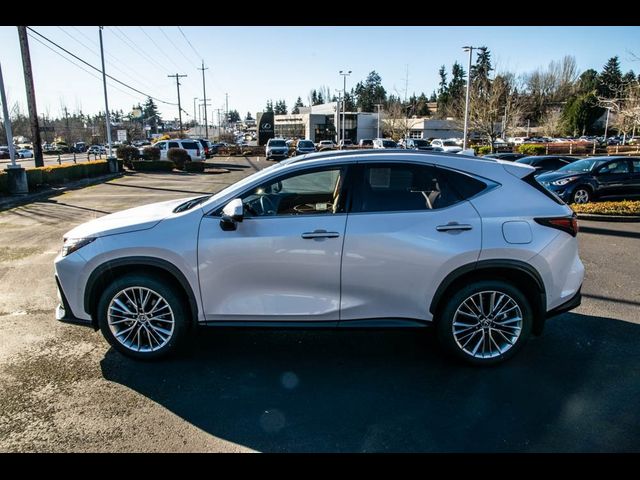 2024 Lexus NX 350h Luxury