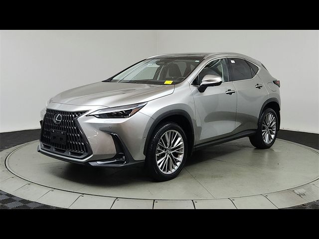 2024 Lexus NX 350h Luxury