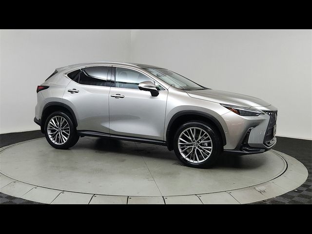 2024 Lexus NX 350h Luxury