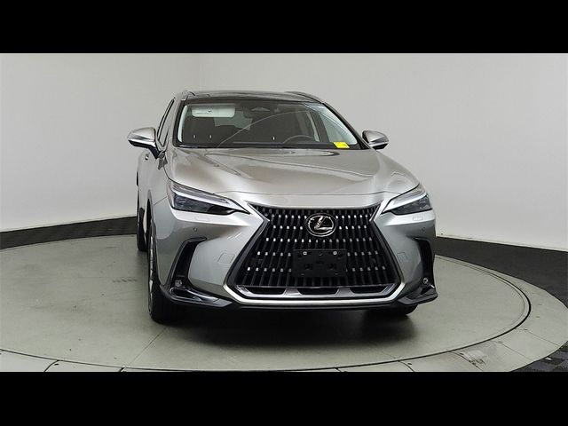 2024 Lexus NX 350h Luxury