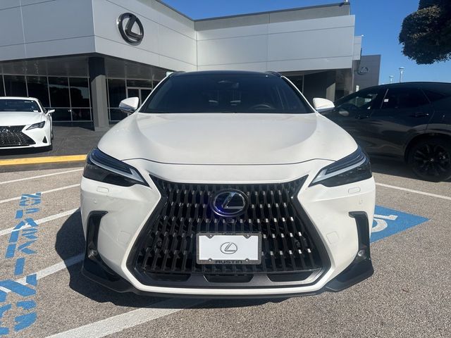 2024 Lexus NX 350h Luxury