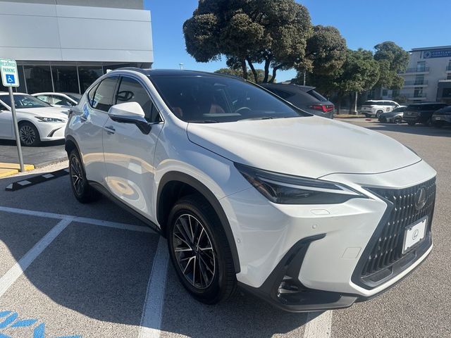 2024 Lexus NX 350h Luxury