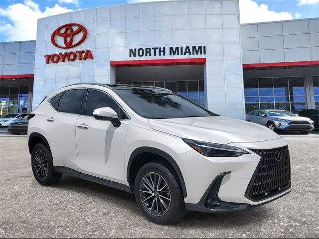 2024 Lexus NX 350h Luxury