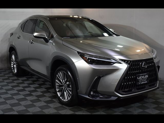 2024 Lexus NX 350h Luxury