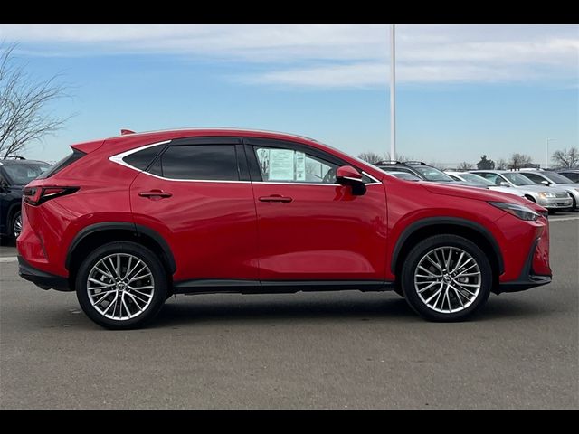 2024 Lexus NX 350h Luxury