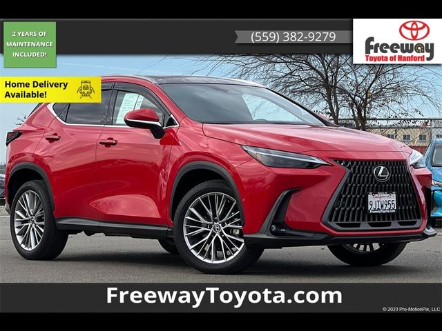 2024 Lexus NX 350h Luxury