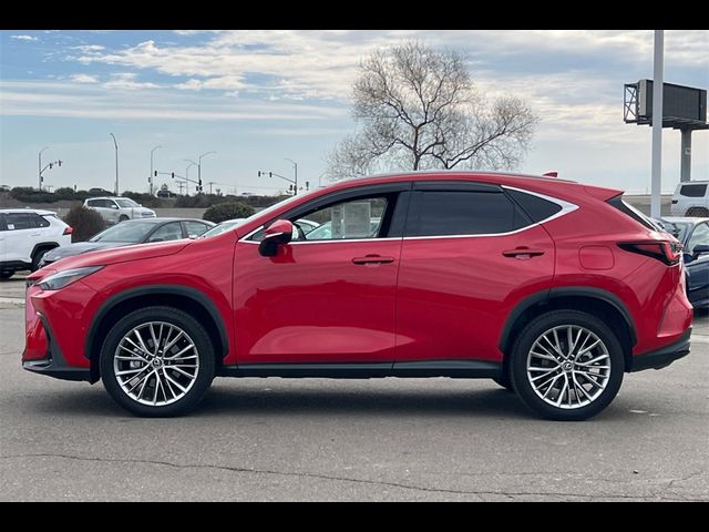 2024 Lexus NX 350h Luxury