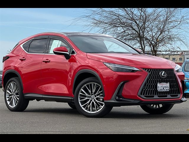 2024 Lexus NX 350h Luxury