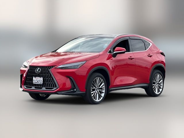 2024 Lexus NX 350h Luxury