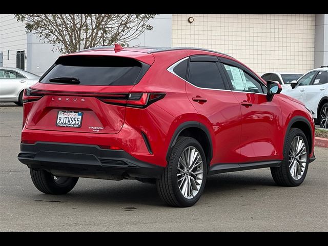 2024 Lexus NX 350h Luxury