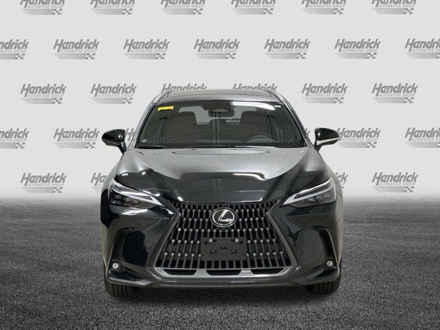 2024 Lexus NX 350h Luxury