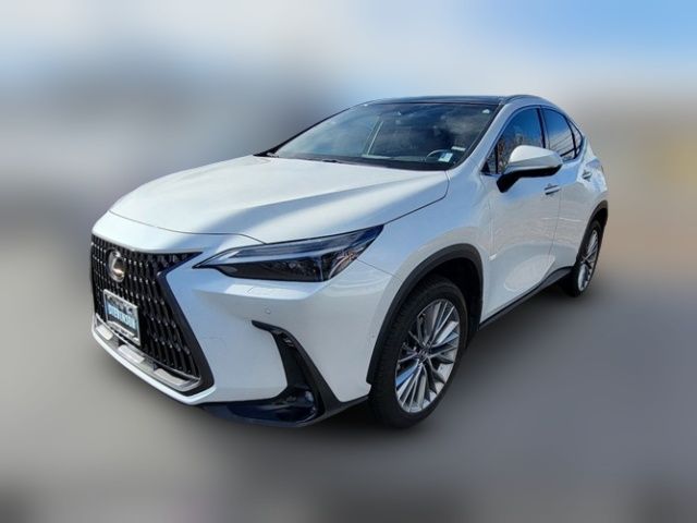 2024 Lexus NX 350h Luxury