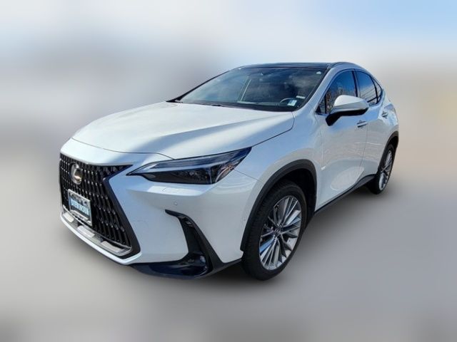 2024 Lexus NX 350h Luxury