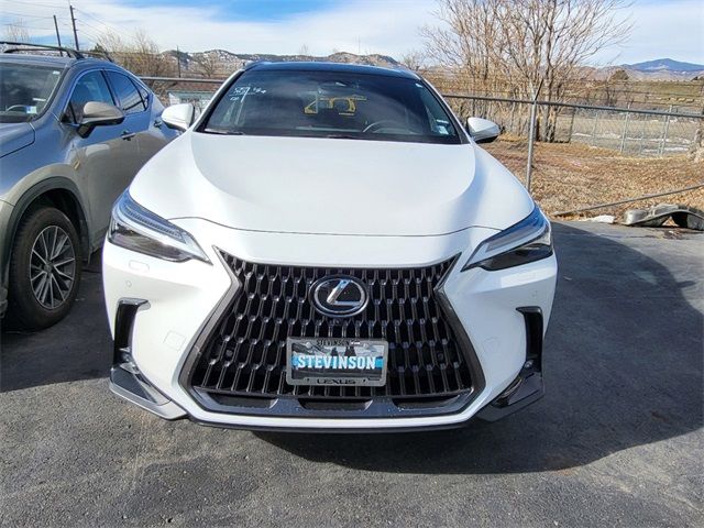 2024 Lexus NX 350h Luxury