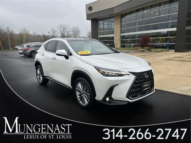 2024 Lexus NX 350h Luxury