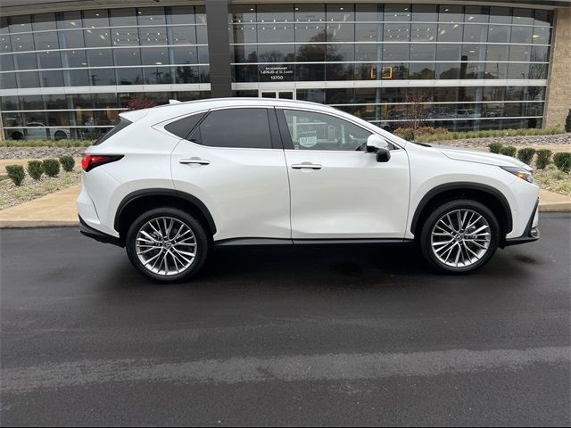 2024 Lexus NX 350h Luxury