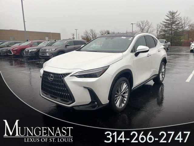 2024 Lexus NX 350h Luxury