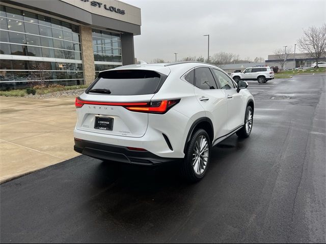 2024 Lexus NX 350h Luxury