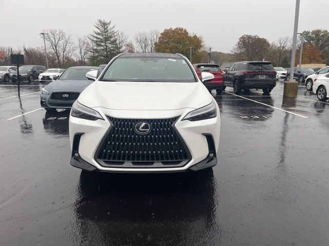 2024 Lexus NX 350h Luxury