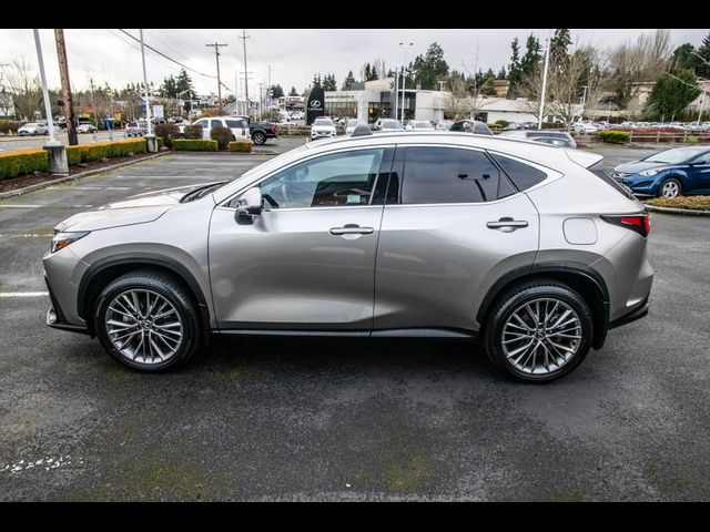 2024 Lexus NX 350h Luxury